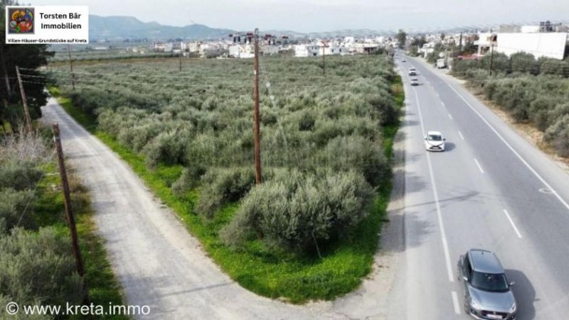 Kaparianna Kreta, Kaparianna Olivenhain 13.000m² zu verkaufen Grundstück kaufen